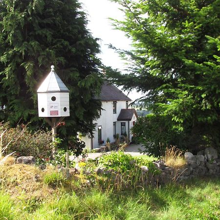 Celyn Villa Bed And Breakfast Holywell  Eksteriør billede