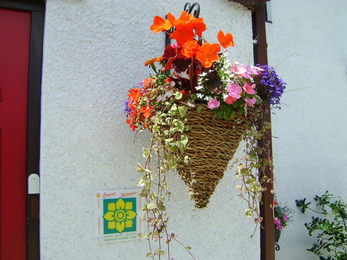 Celyn Villa Bed And Breakfast Holywell  Eksteriør billede