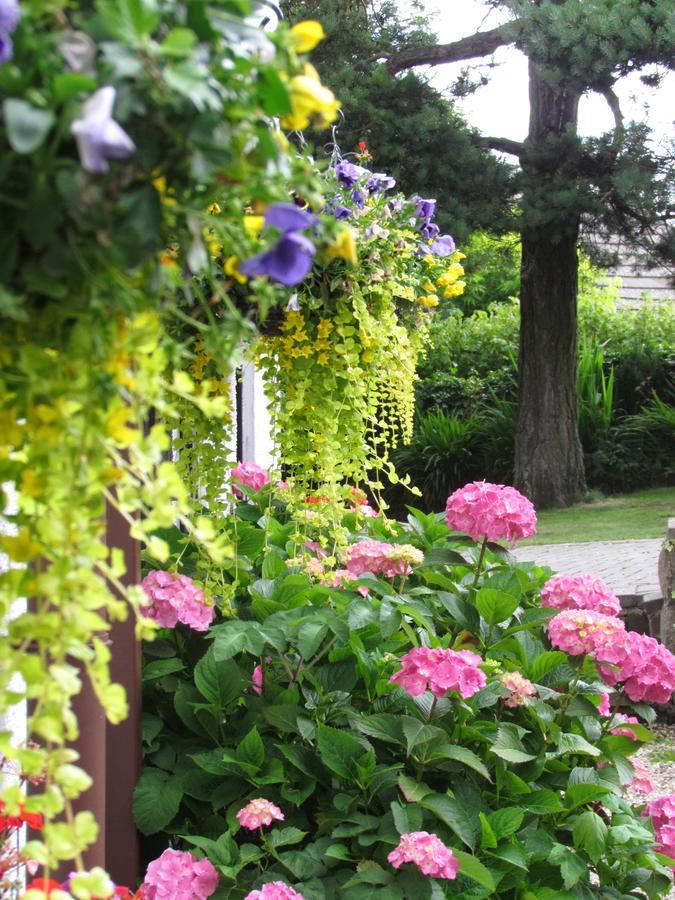 Celyn Villa Bed And Breakfast Holywell  Eksteriør billede